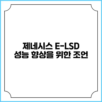 제네시스 E-LSD 성능 향상을 위한 조언