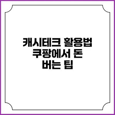 캐시테크 활용법 쿠팡에서 돈 버는 팁